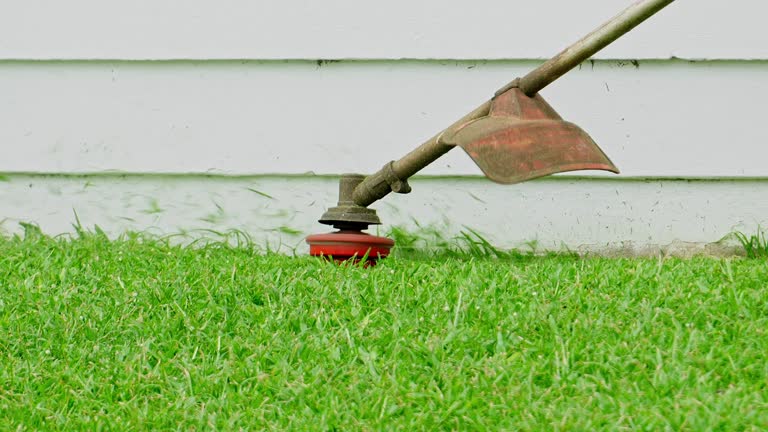 Best Lawn Grading and Leveling  in Mathews, VA